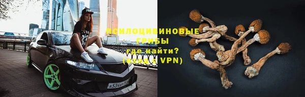 спайс Алексеевка