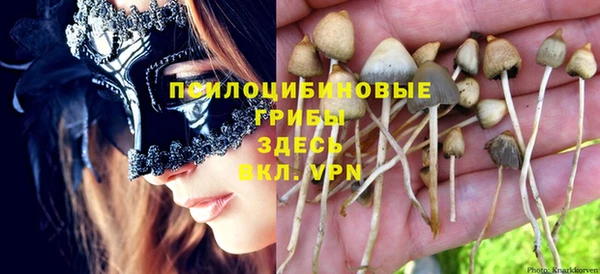 спайс Алексеевка
