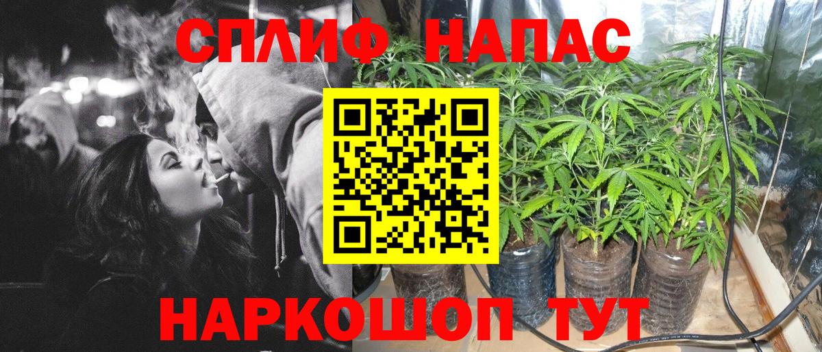 Канабис планчик  Бошки Шишки сатива  Вход с VPN  Брянск  Бошки марихуана OG Kush  МАРИХУАНА Ganja 